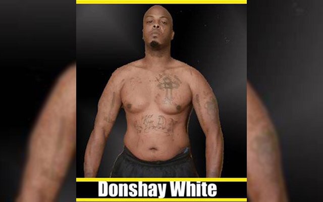 Amateur MMA fighter Donshay White passes away following bout at Hardrock MMA 90