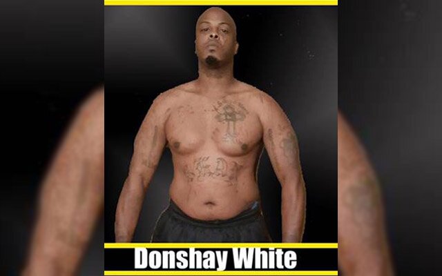 MMA Heavyweight Dies After Fight